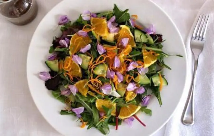 Fiori di glicine commestibili: un tocco di dolcezza in cucina - Che proprietà ha il glicine fiori di glicine commestibili - Che proprietà ha il glicine