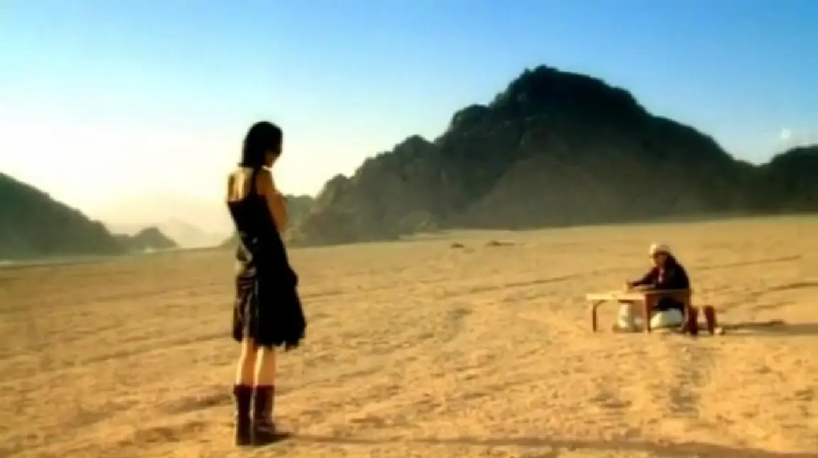 Sei un piccolo fiore per me: la bellezza delle fiorerie - Chi ha scritto la canzone è di Vasco Rossi sei un piccolo fiore per me - Chi ha scritto la canzone è di Vasco Rossi