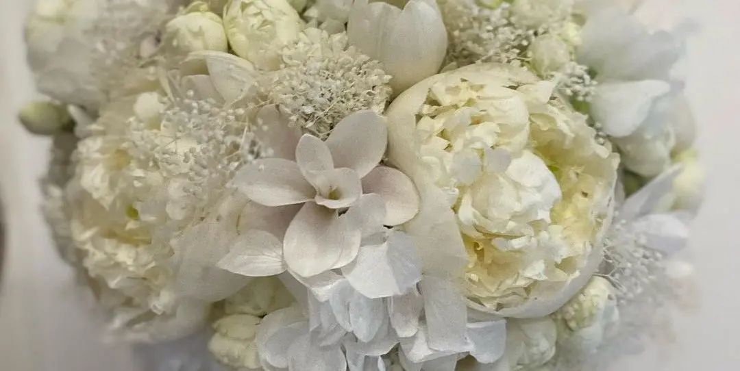 Fiori di Sanremo: la bellezza floreale al Festival della canzone italiana - Chi si occupa dei fiori di Sanremo fiori di sanremo - Chi si occupa dei fiori di Sanremo