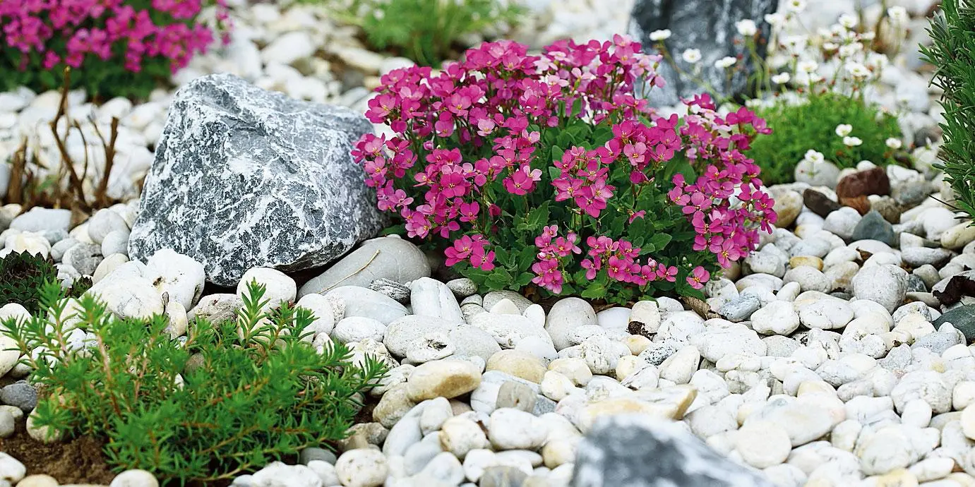 Giardini con sassi e fiori: come creare spazi incantevoli - Come arredare il giardino con pochi soldi giardini con sassi e fiori - Come arredare il giardino con pochi soldi