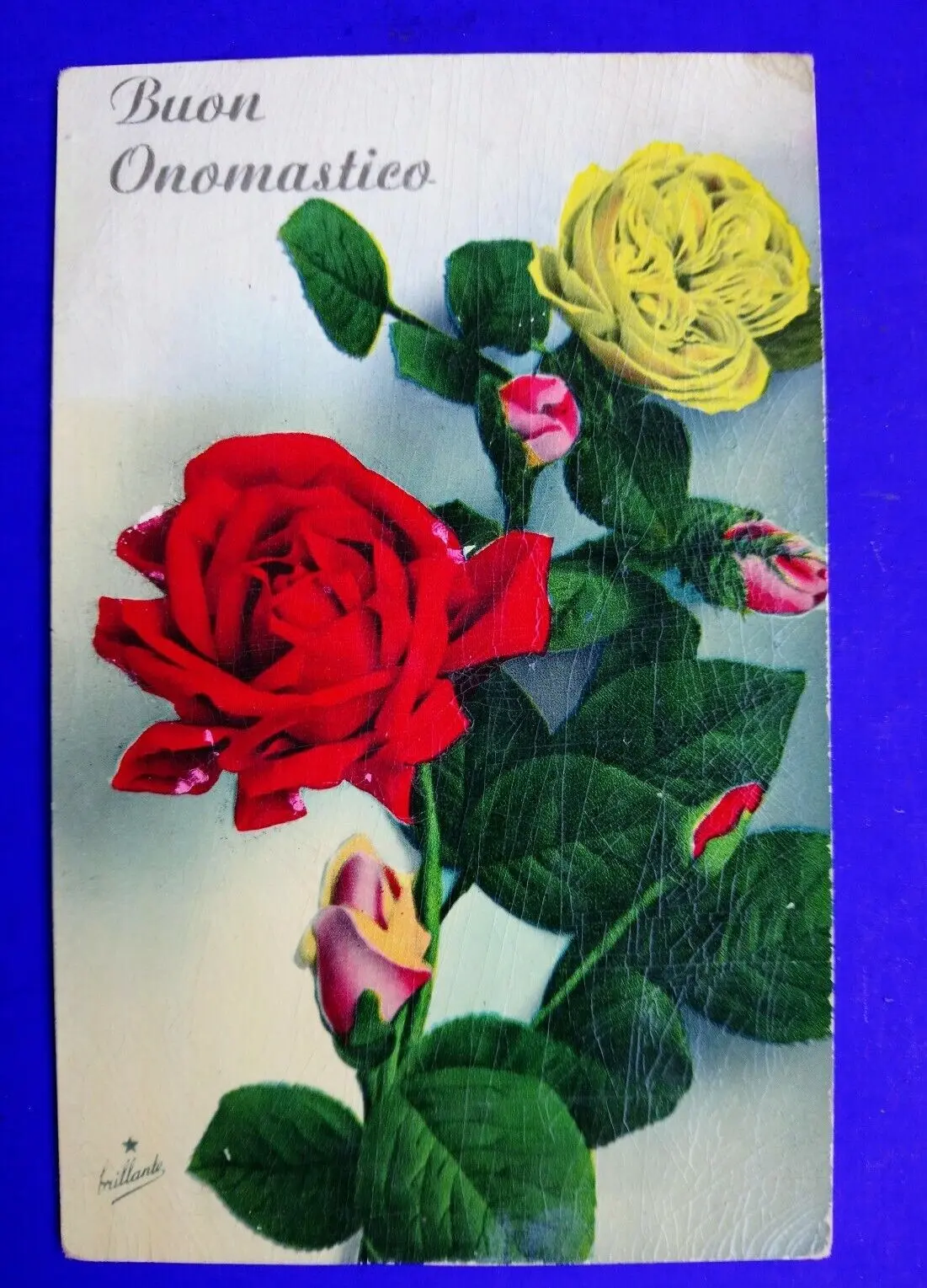Fiori di Buon Onomastico: Un Regalo per Celebrare le Persone Care - Come augurare Buon onomastico a un figlio fiori di buon onomastico - Come augurare Buon onomastico a un figlio