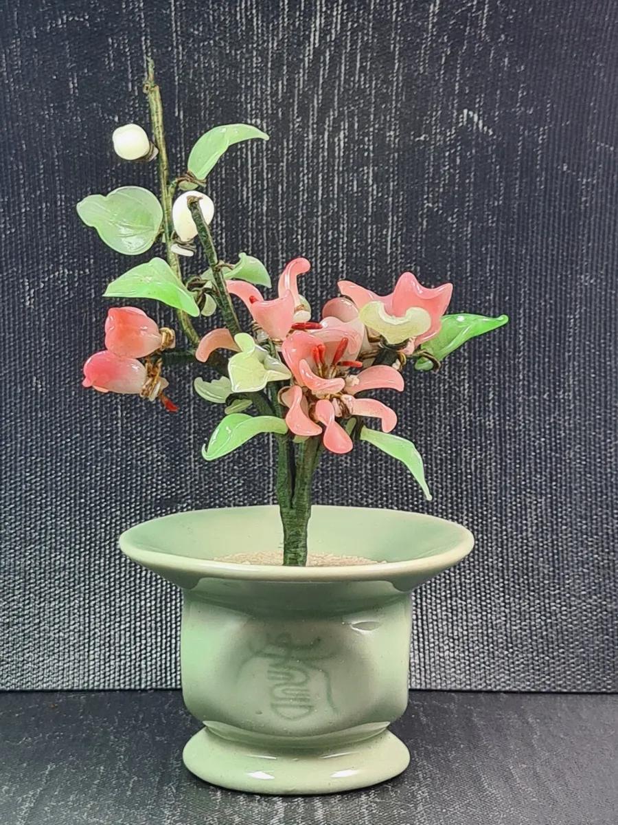 bonsai con fiori - Come capire se è un bonsai