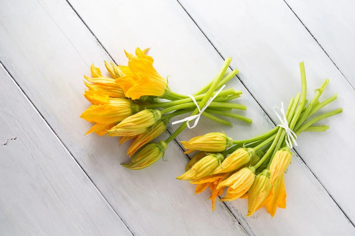 Come congelare i fiori di zucca cotti - Come congelare i fiori di zucca cotti congelare fiori di zucca - Come congelare i fiori di zucca cotti