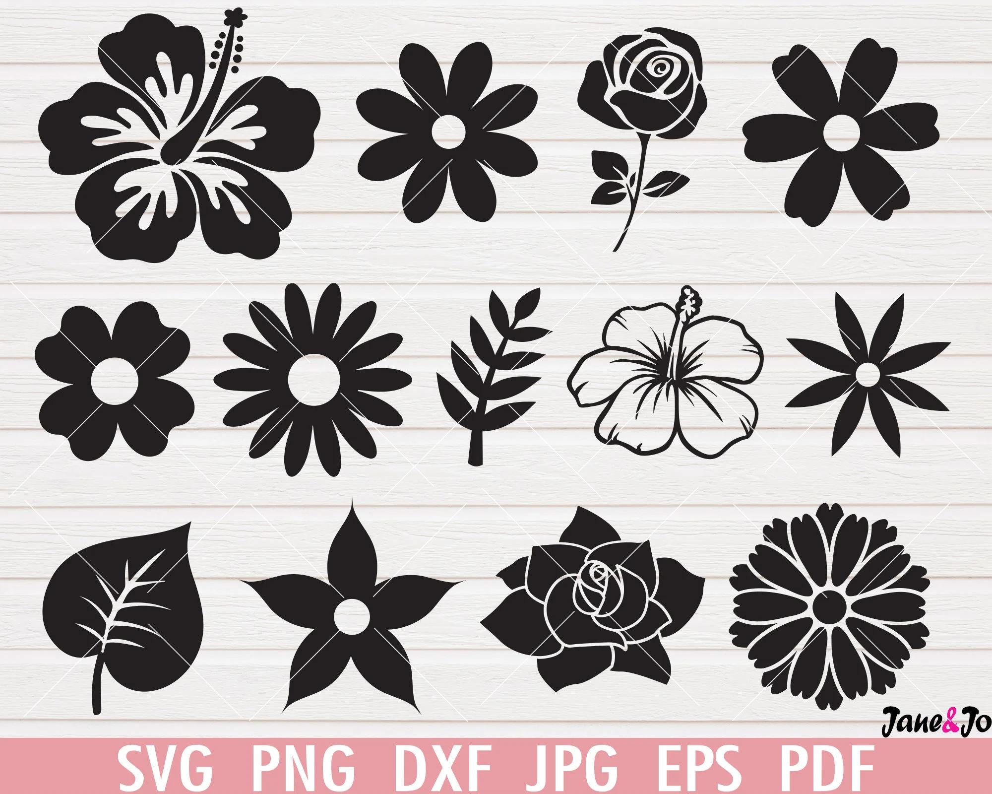 fiori svg - Come creare un SVG