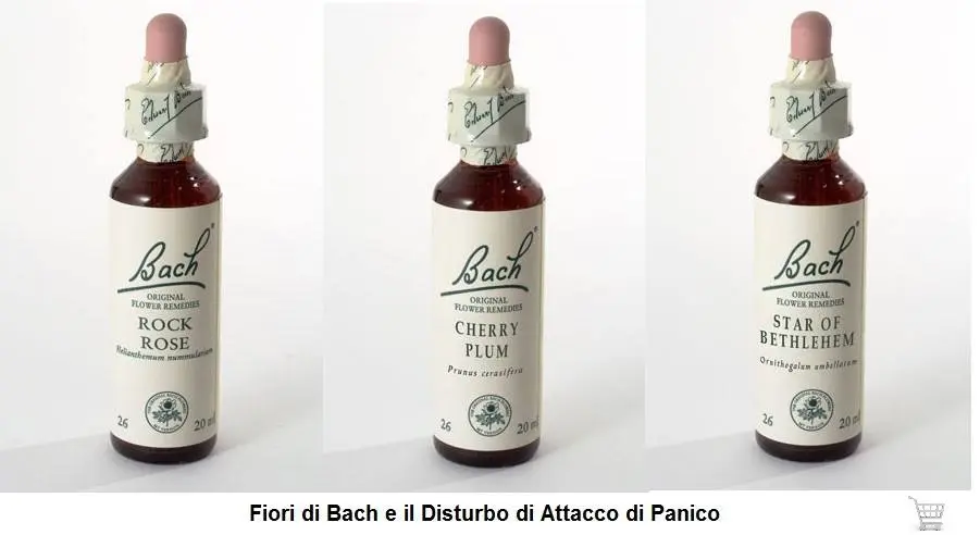 fiori di bach per attacchi di panico - Come curare gli attacchi di panico in modo naturale