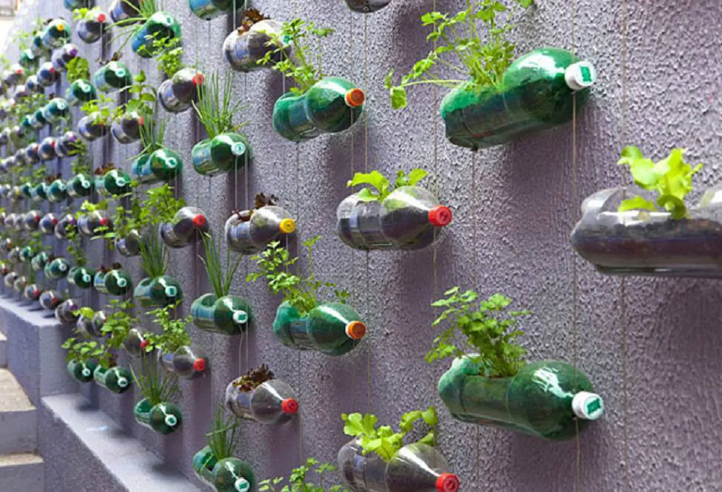 Fioriere con bottiglie di plastica: soluzioni creative per il tuo giardino - Come dipingere i vasi di plastica fioriere con bottiglie di plastica - Come dipingere i vasi di plastica