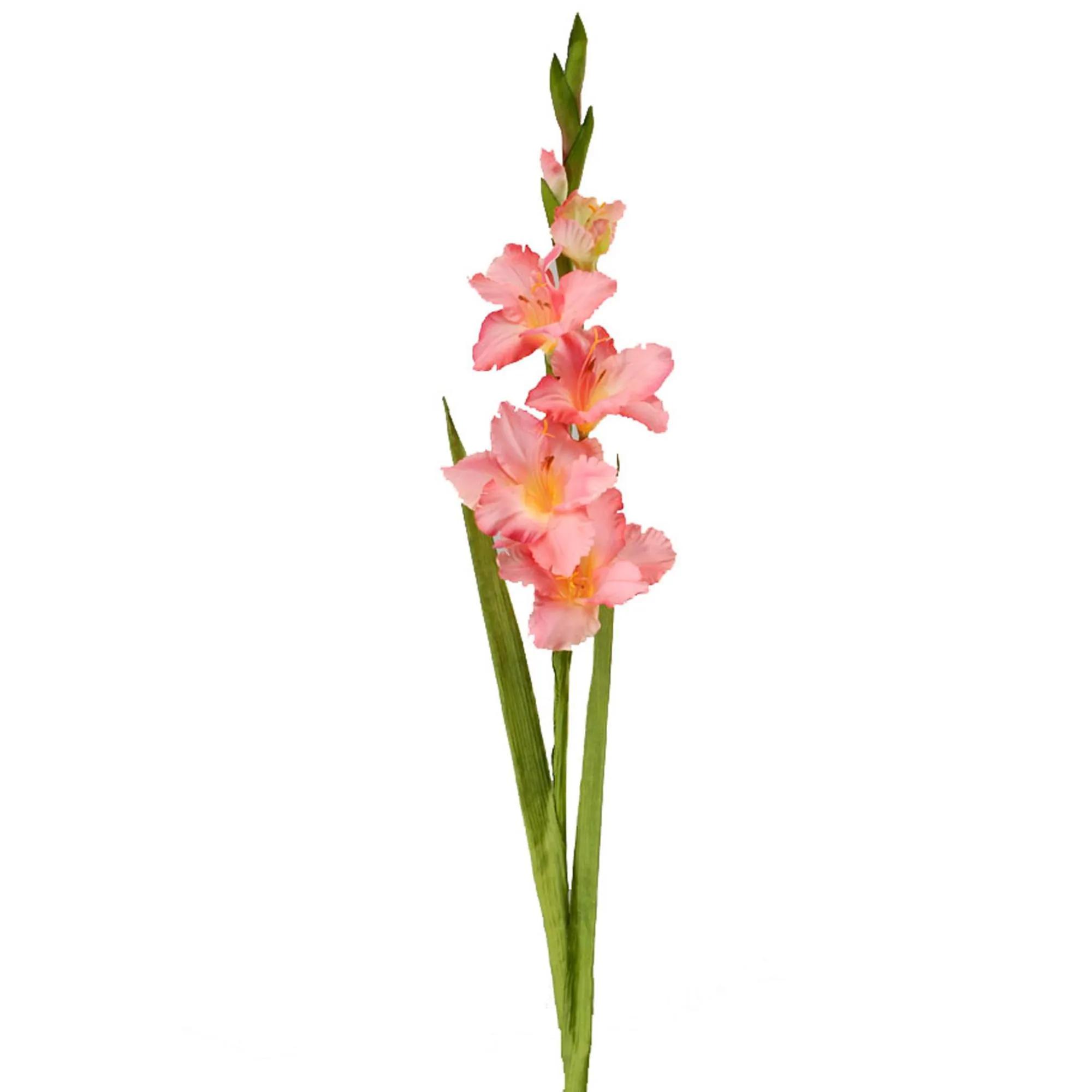 Come piantare gladioli: guida completa
