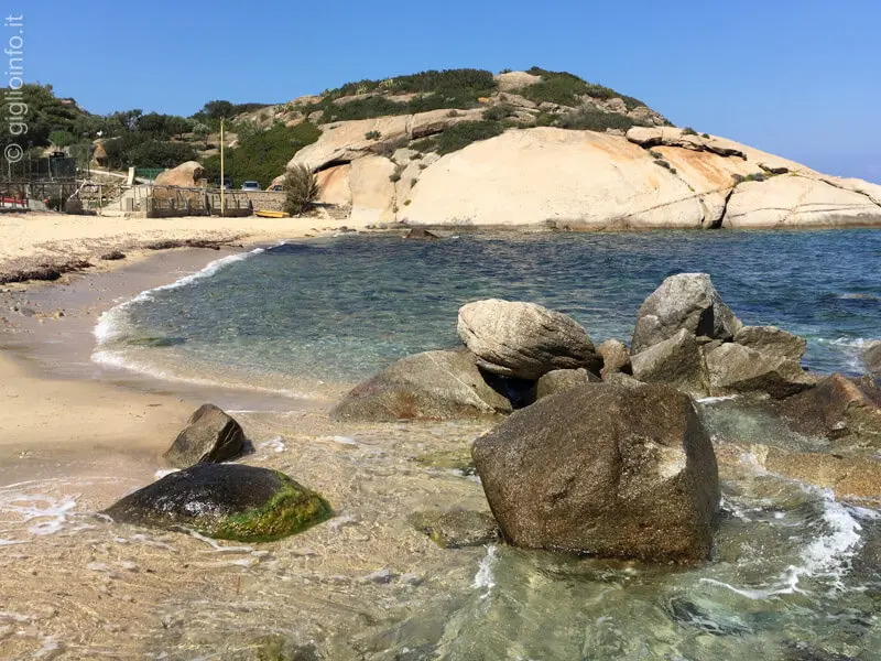 Cala dei Fiori: Un angolo di paradiso floreale sull'Isola del Giglio - Come è il mare all'Isola del Giglio cala dei fiori - Come è il mare all'Isola del Giglio