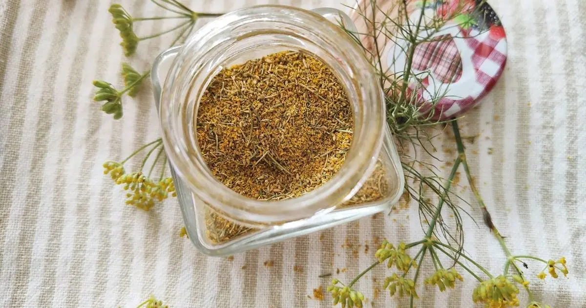 Fiori di Finocchietto Selvatico: Un tesoro culinario dal Mediterraneo - Come essiccare i fiori di finocchio fiori di finocchietto selvatico - Come essiccare i fiori di finocchio