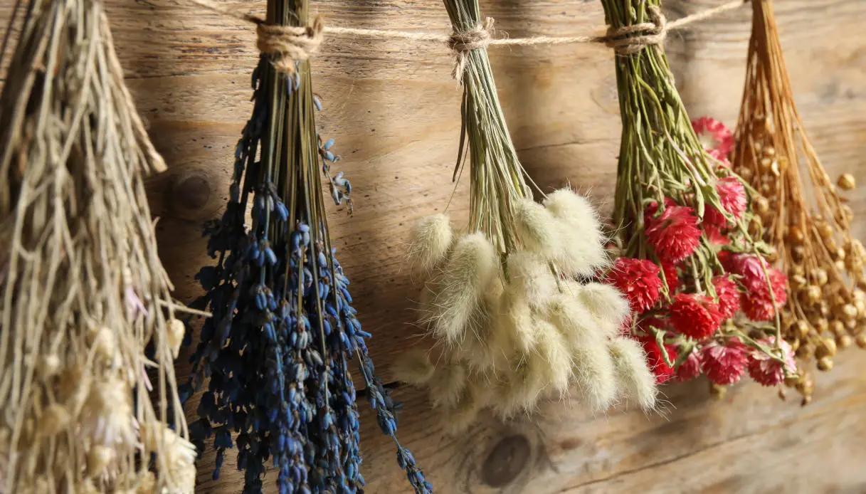 Come essiccare i fiori mantenendo il colore - Come essiccare le ortensie mantenendo il colore come essiccare i fiori mantenendo il colore - Come essiccare le ortensie mantenendo il colore