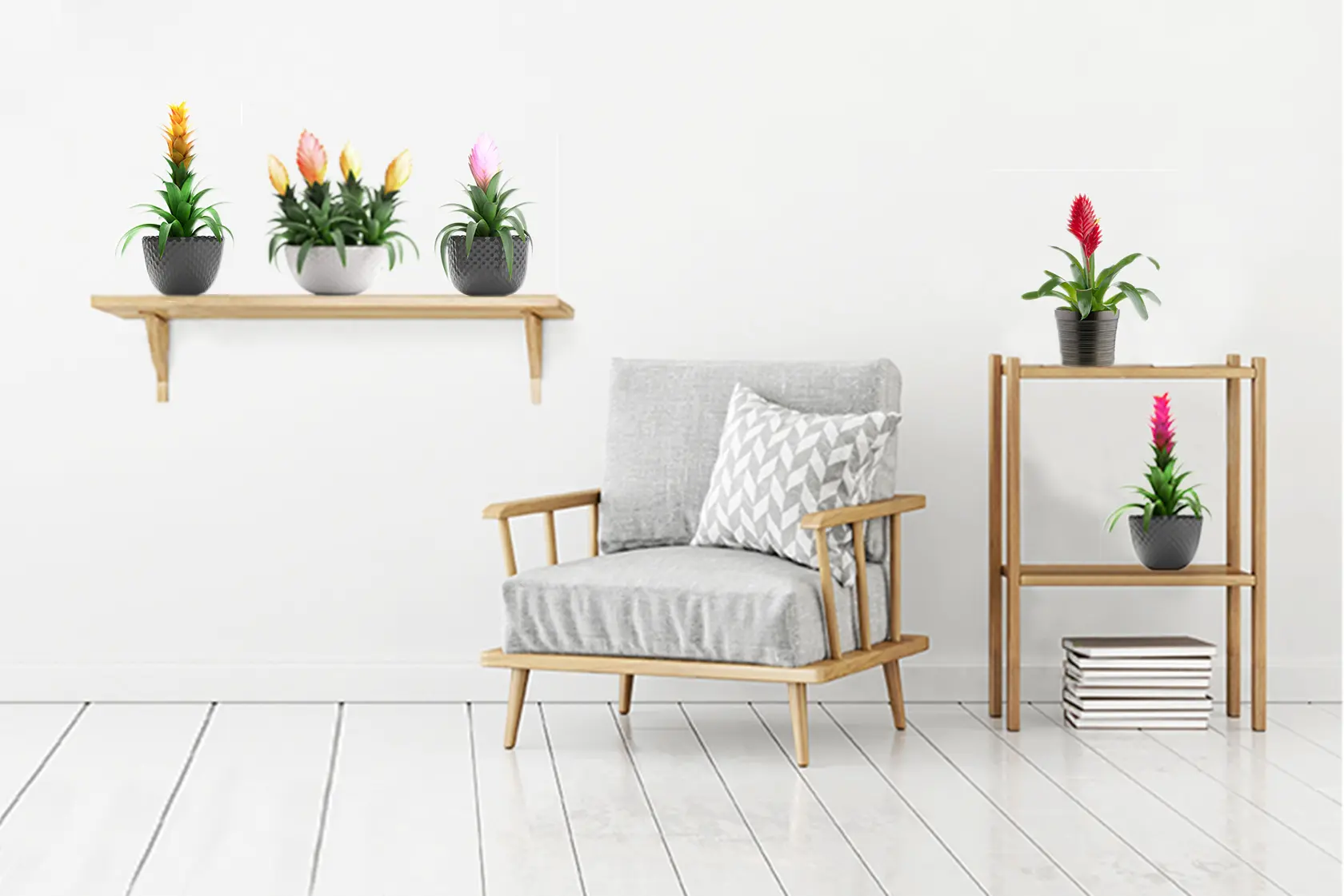 bromelia fiore secco - Come far rifiorire la Bromelia