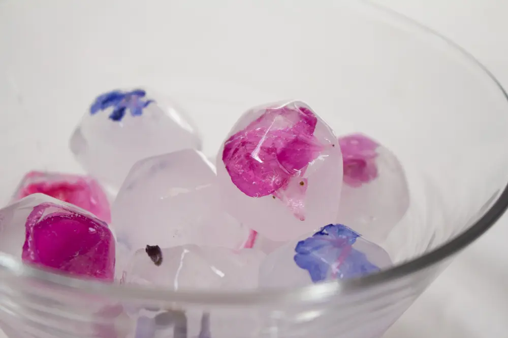 cubetti di ghiaccio con fiori - Come fare cubetti di ghiaccio velocemente