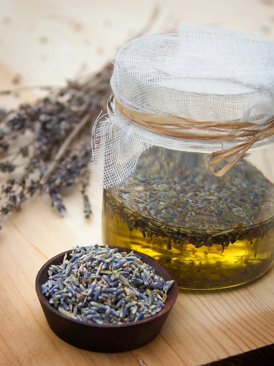 oleolito di lavanda con fiori freschi - Come fare oleolito di lavanda in casa