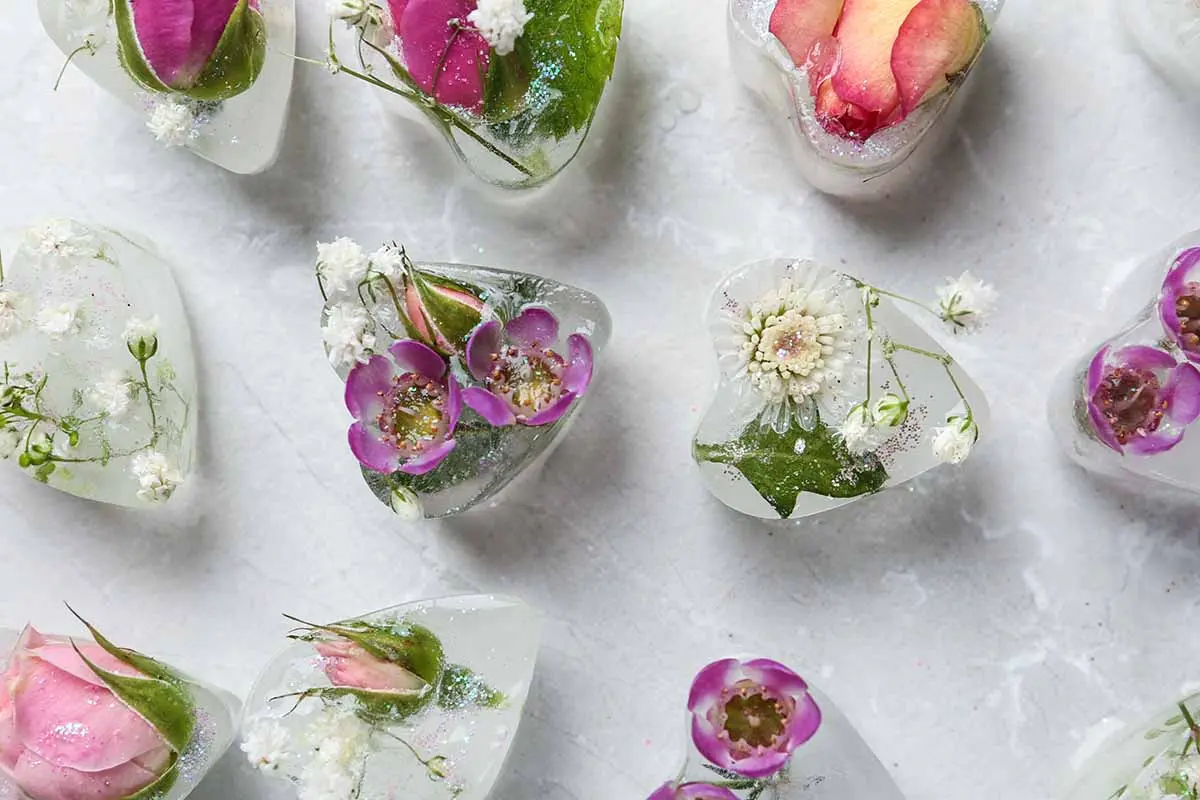 palloncini di ghiaccio con fiori - Come fare sfere di ghiaccio trasparenti