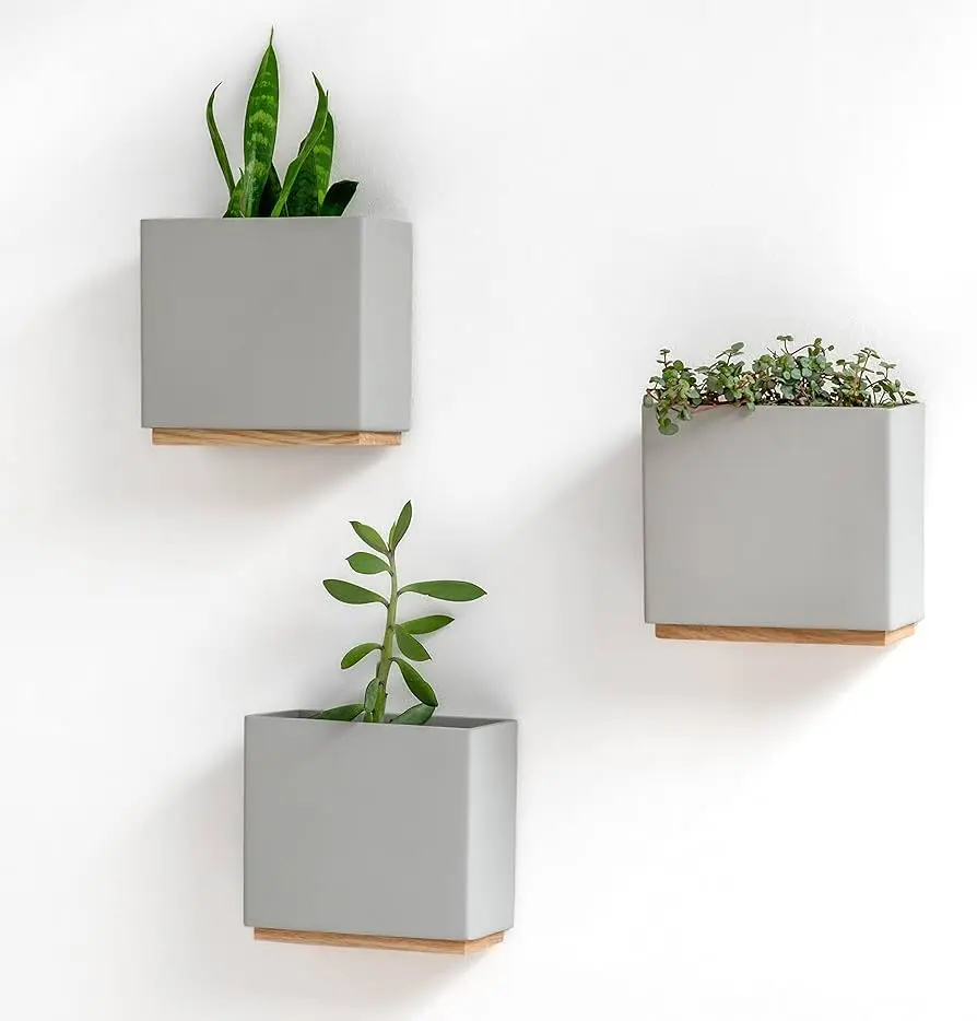 Fioriere da muro: il modo perfetto per decorare le pareti - Come fissare i vasi al muro fioriere da muro - Come fissare i vasi al muro