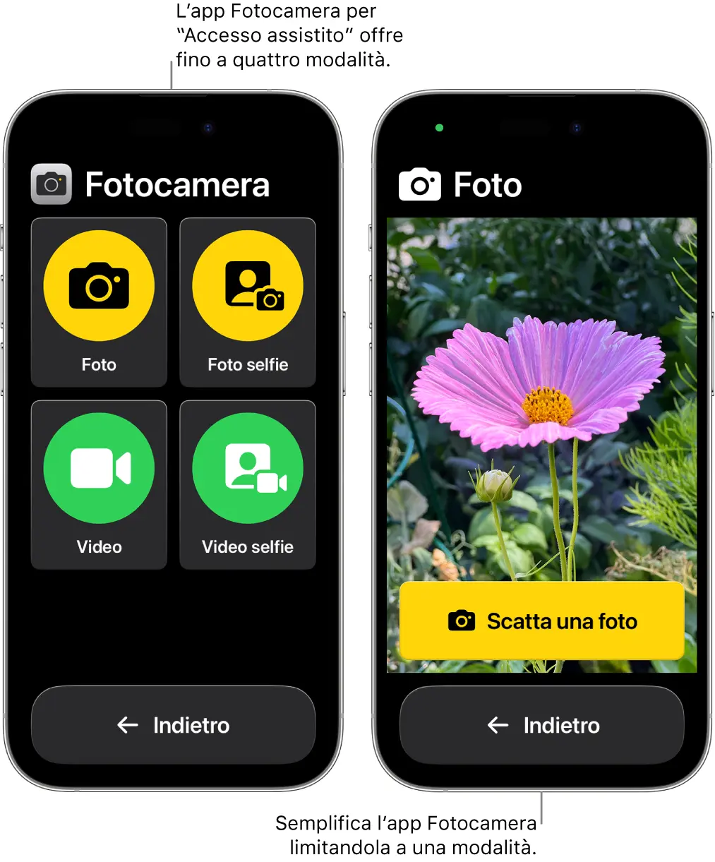 fiore fotocamera iphone - Come impostare al meglio la Fotocamera iPhone