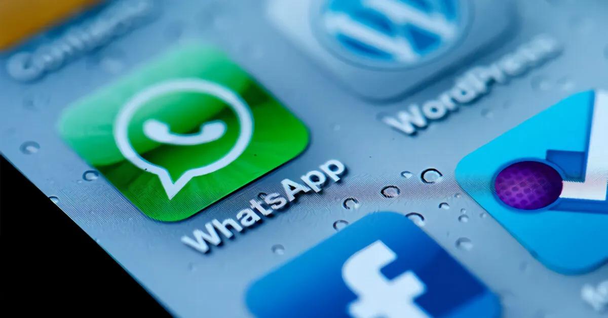 Gif fiori per WhatsApp: come trovarle e scaricarle - Come inviare una GIF animata su WhatsApp gif fiori per whatsapp - Come inviare una GIF animata su WhatsApp