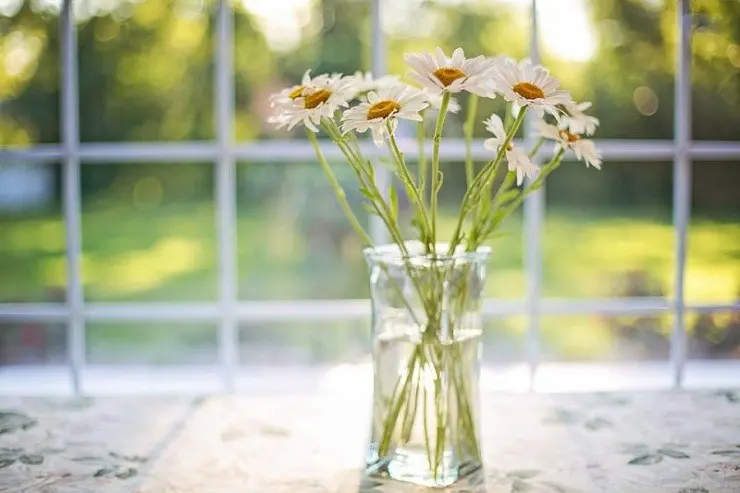Candeggina nell'acqua dei fiori: come utilizzarla correttamente - Come non far puzzare l'acqua dei fiori candeggina nell'acqua dei fiori - Come non far puzzare l'acqua dei fiori