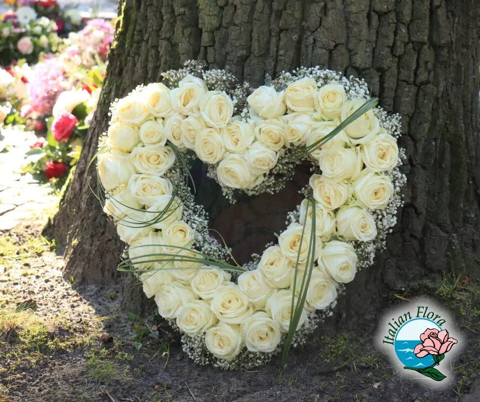 Come spedire fiori in un'altra città - Come regalare una pianta a distanza come spedire fiori in un'altra città - Come regalare una pianta a distanza