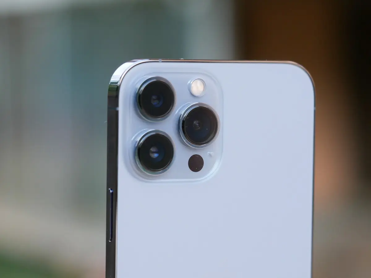 fiore fotocamera iphone - Come riconoscere fiori con iPhone