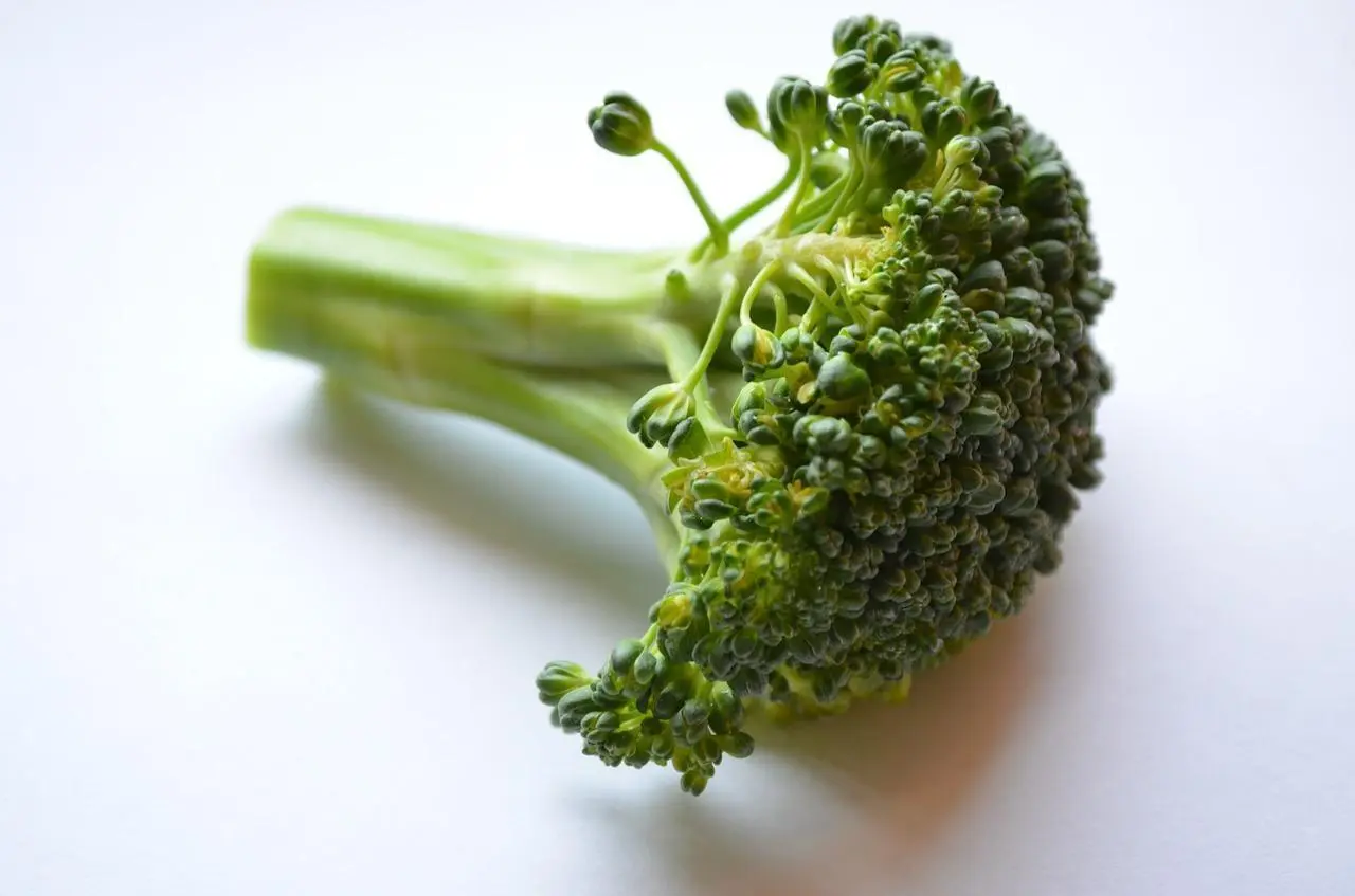 Broccoli in fiore si possono mangiare - Come riprodurre i broccoli broccoli in fiore si possono mangiare - Come riprodurre i broccoli