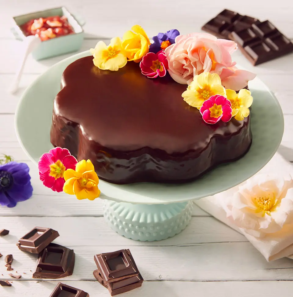 fiori di cioccolato per torte - Come scrivere sui dolci con il cioccolato