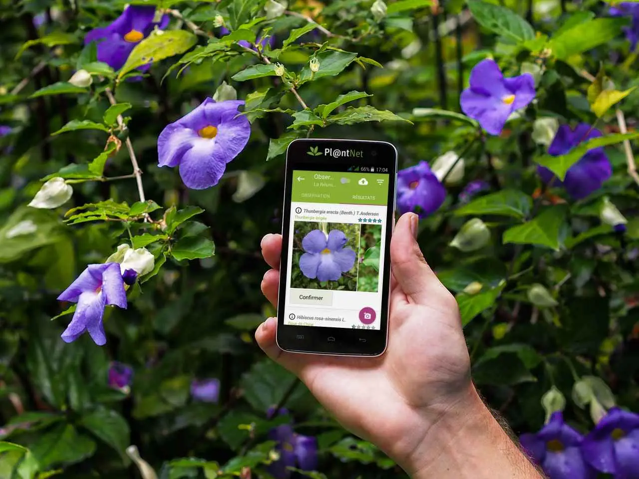 Come si chiama l'app per la cura delle piante - Come si chiama l'app per la cura delle piante applicazione fiori e piante - Come si chiama l'app per la cura delle piante