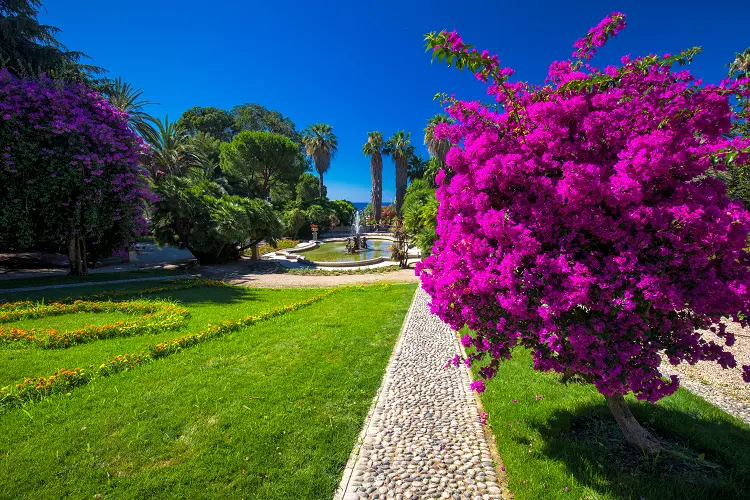 Spello città dei fiori: scopri cosa vedere e cosa fare in questa incantevole località umbra - Come si chiama la città dei fiori spello città dei fiori - Come si chiama la città dei fiori