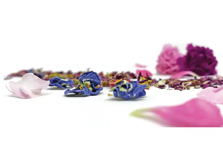 Fiori disidratati: un'opzione duratura per la bellezza floreale - Come si chiamano le rose disidratate fiori disidratati - Come si chiamano le rose disidratate