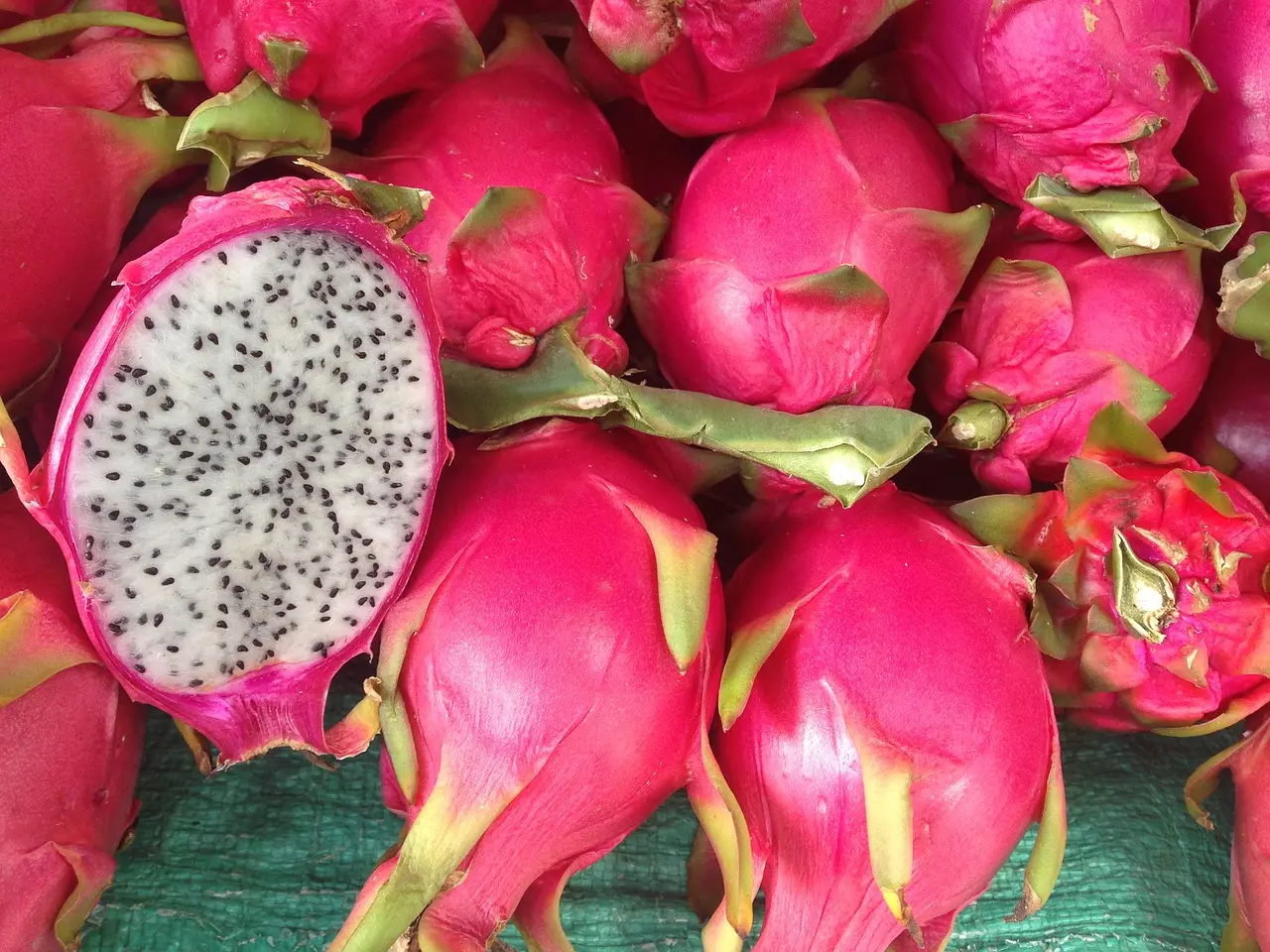 Dragon Fruit Fiore: Un frutto esotico e ricco di sapore - Come si coltiva il frutto del drago dragon fruit fiore - Come si coltiva il frutto del drago