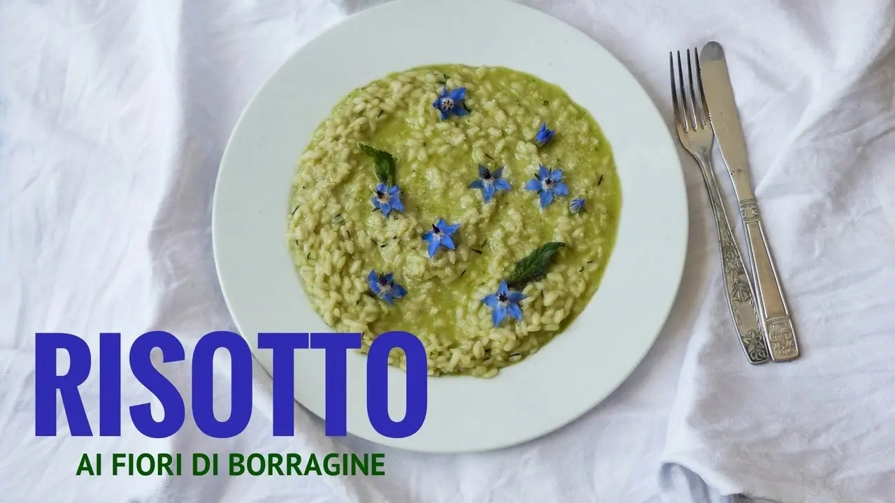 Fiori di borragine: ricette e utilizzi in cucina - Come si conservano i fiori di borragine fiori di borragine ricette - Come si conservano i fiori di borragine
