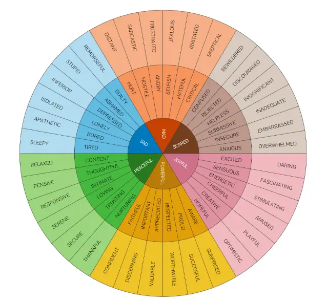 Fiore delle Emozioni: Saper Gestire e Riconoscere le Nostre Emozioni - Come si legge la ruota delle emozioni fiore delle emozioni - Come si legge la ruota delle emozioni