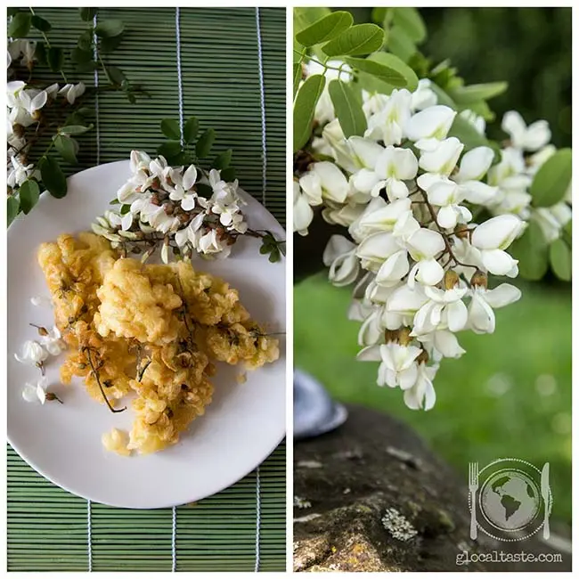 Fiori che si mangiano fritti: un'esperienza culinaria unica - Come si mangia il glicine fiori che si mangiano fritti - Come si mangia il glicine
