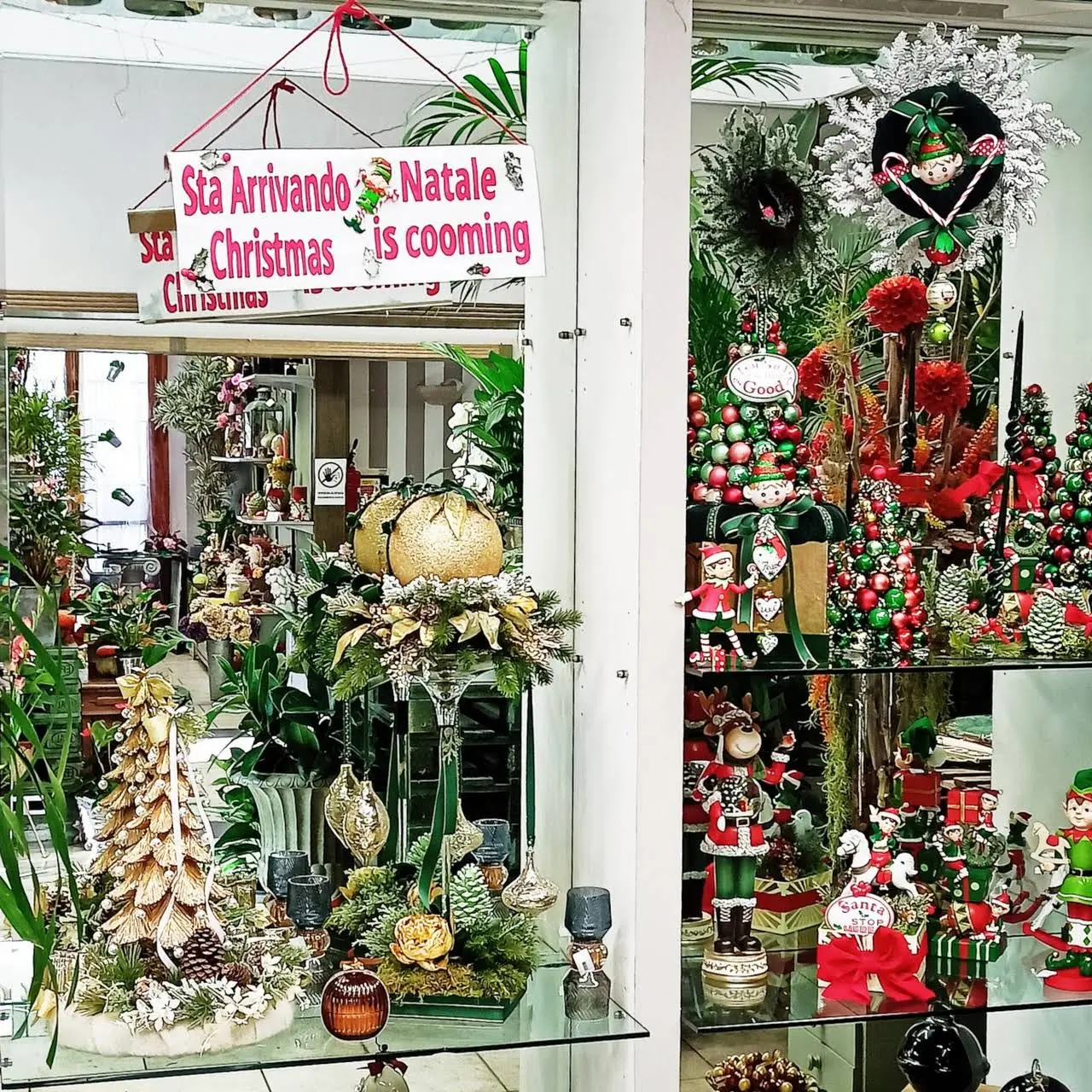 Fioraio Baldesi - Fiori Piante Oggettistica - Interflora - Come si paga con Interflora fioraio baldesi - fiori piante oggettistica - interflora - Come si paga con Interflora