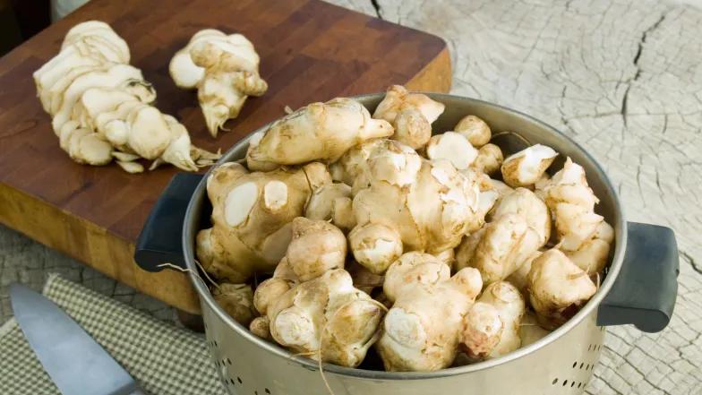 Topinambur fiore ricette: come utilizzare il topinambur in cucina - Come si puliscono i topinambur topinambur fiore ricette - Come si puliscono i topinambur