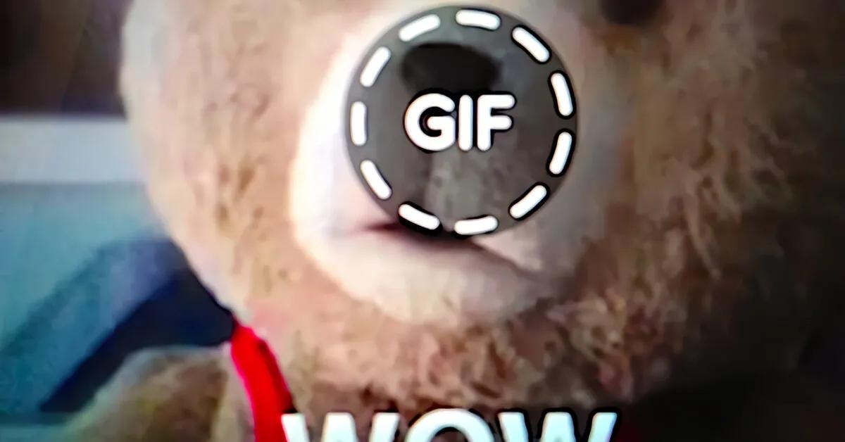 Gif fiori per WhatsApp: come trovarle e scaricarle - Come si scaricano le GIF sul telefono gif fiori per whatsapp - Come si scaricano le GIF sul telefono