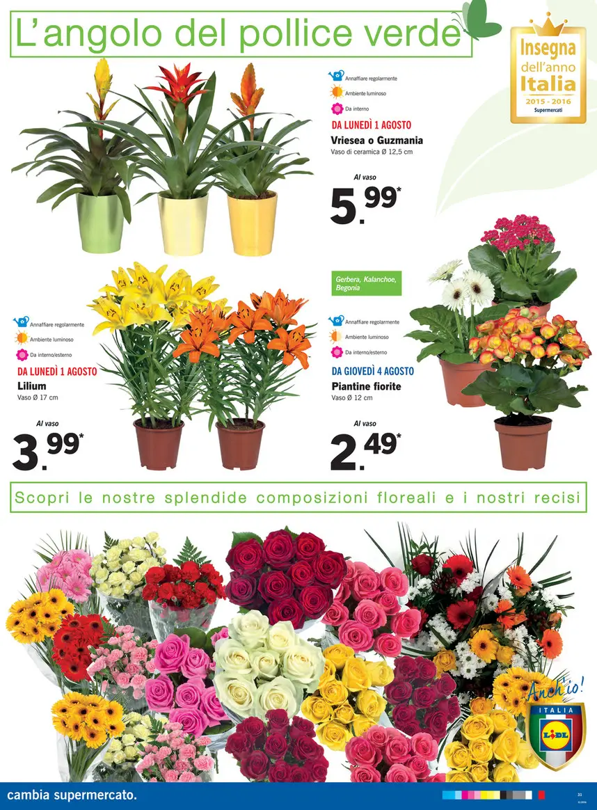 Lidl Fiori Recisi: Aggiungi un tocco di freschezza alla tua vita - Come si usa la carta Lidl Plus lidl fiori recisi - Come si usa la carta Lidl Plus