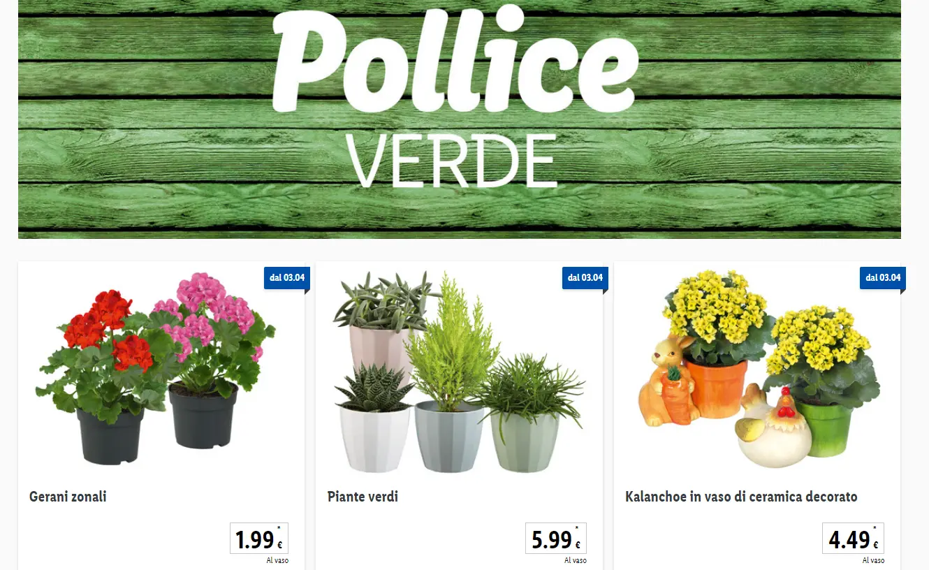 Piante e Fiori Lidl Questa Settimana - Come si usano i coupon Lidl piante e fiori lidl questa settimana - Come si usano i coupon Lidl