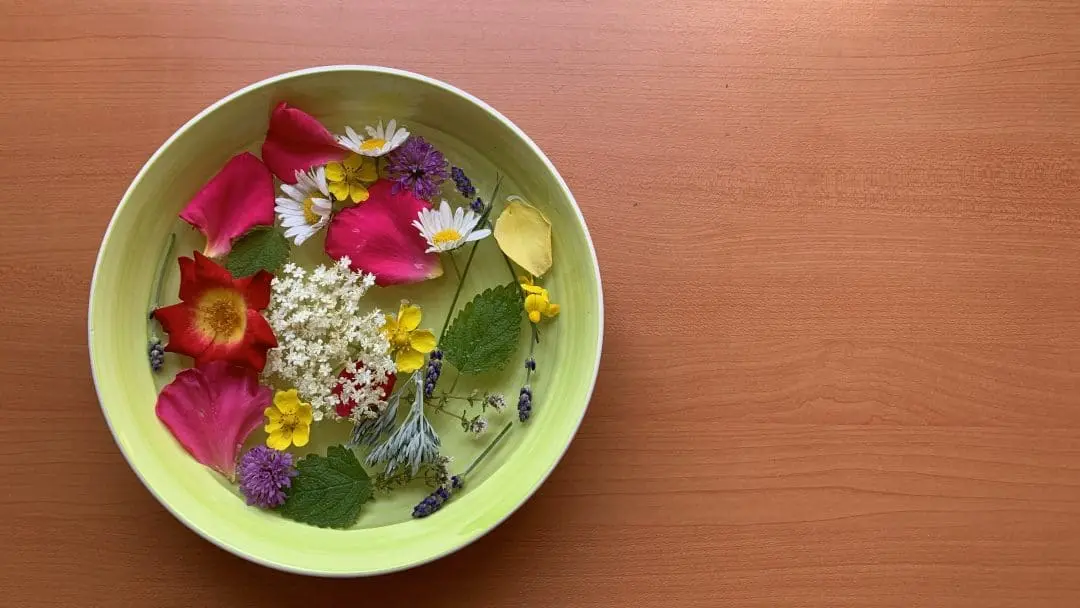 fiori per acqua di san giovanni - Come sono i fiori di San Giovanni