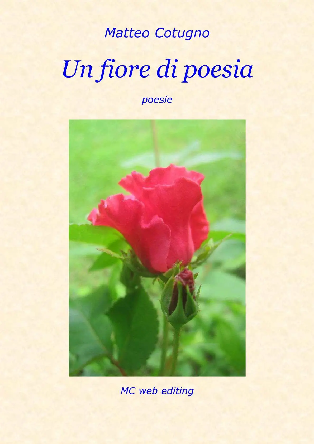 fiore di poesia - Come sono le poesie di Alda Merini