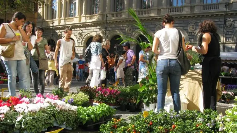 Fiore Bologna: Spedire Fiori a Bologna in modo Semplice e Veloce - Come spedire dei fiori a Bologna fiore bologna - Come spedire dei fiori a Bologna