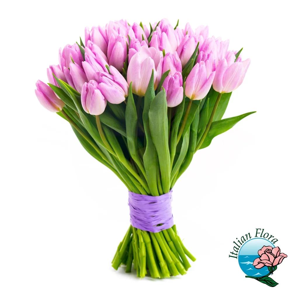 Come tenere in vita i tulipani: consigli per una fioritura duratura