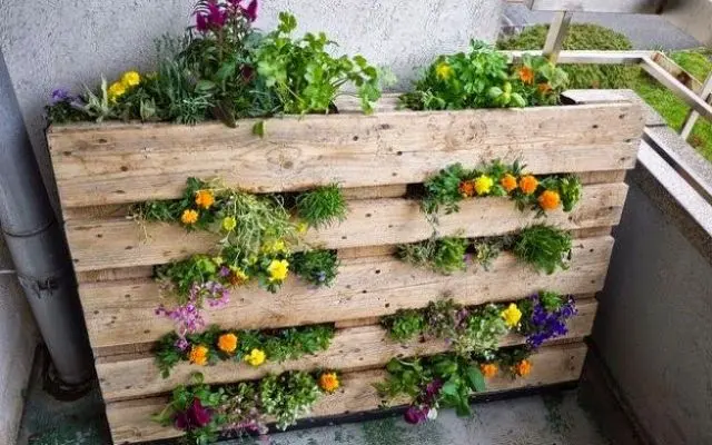 Bancali come fioriere: una soluzione creativa per il giardinaggio - Come trattare i bancali di legno bancali come fioriere - Come trattare i bancali di legno