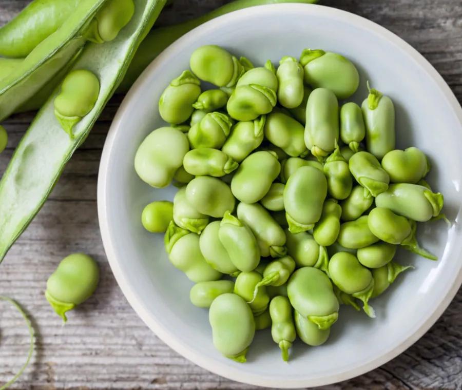 fiore di fava - Cos'è la fava in dialetto