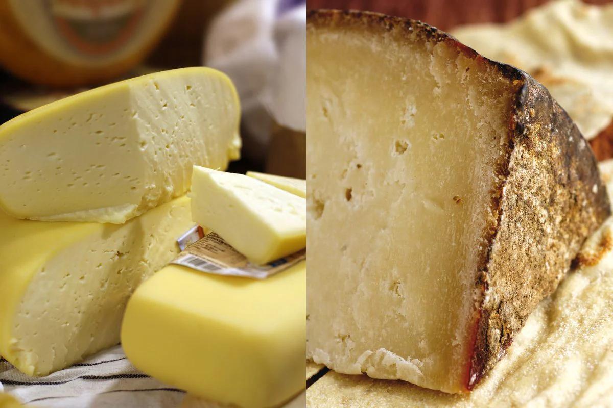 Pecorino Fiore Sardo: Il Formaggio Ovino Sardo DOP - Cosa cambia tra Pecorino Romano e pecorino sardo pecorino fiore sardo - Cosa cambia tra Pecorino Romano e pecorino sardo