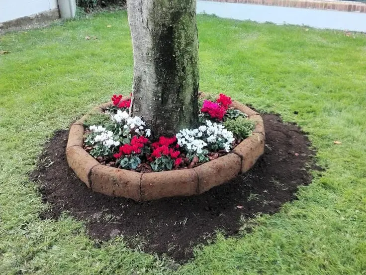 Fioriere con blocchi di tufo: un tocco di natura per il tuo giardino - Cosa fare con il tufo fioriere con blocchi di tufo - Cosa fare con il tufo