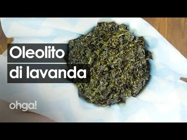 oleolito di lavanda con fiori freschi - Cosa fare con l oleolito di lavanda