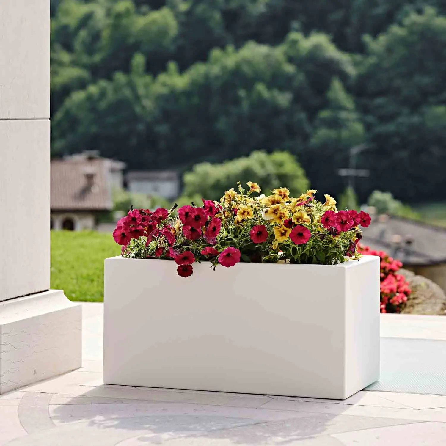 Fioriere Rettangolari: la soluzione perfetta per decorare il tuo spazio esterno - Cosa mettere nei vasi rettangolari fioriere rettangolari - Cosa mettere nei vasi rettangolari
