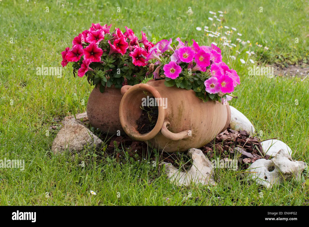 anfora con fiori - Cosa piantare in una giara
