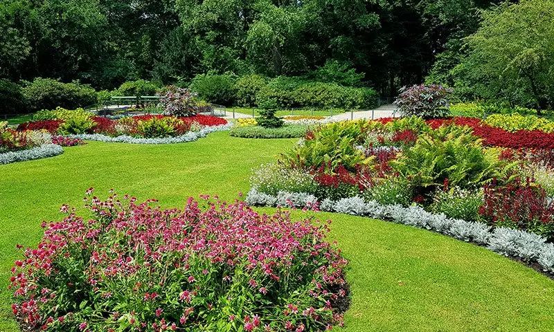 Cosa piantare nell'aiuola esposta al sole - Cosa piantare nell'aiuola esposta al sole fiori per aiuole al sole - Cosa piantare nell'aiuola esposta al sole